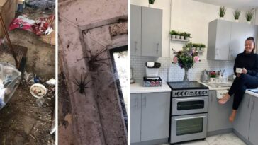 transforma un inmueble abandonado en una preciosa casa