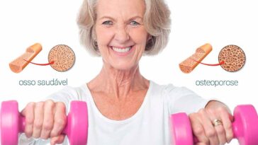 repollo favorece el tratamiento de la osteoporosis