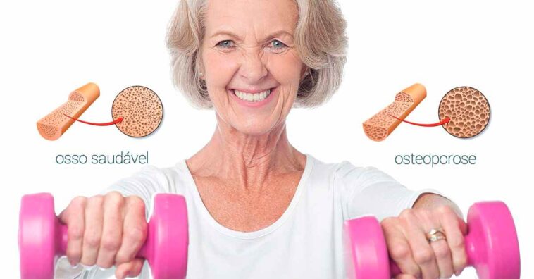 repollo favorece el tratamiento de la osteoporosis