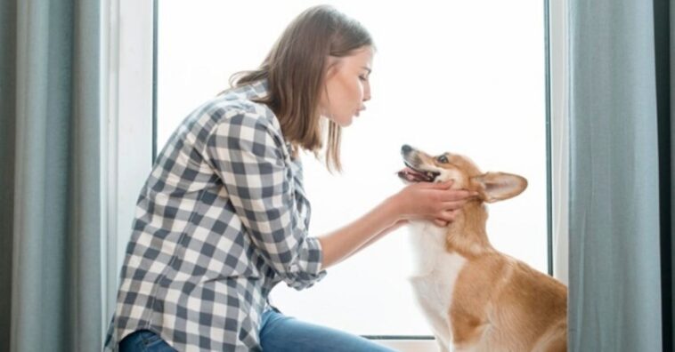 permiso laboral para cuidar de tu mascota cuando está enferma