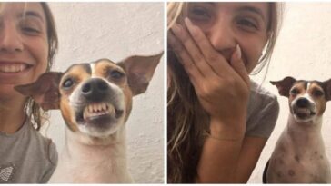 perrito de un refugio sonríe al sacarse una selfie con su cuidadora