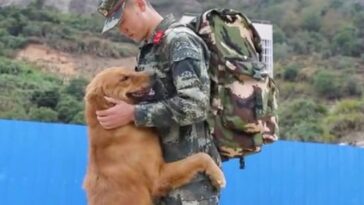 perro militar sigue a su mejor amigo soldado para abrazarlo