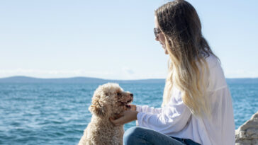 perros tienen una función espiritual en las personas