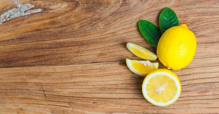 plantar limones en una taza