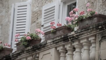 Flores para plantar en la barandilla