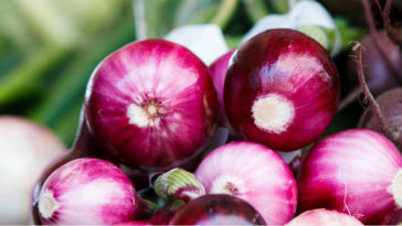 propiedades medicinales de la cebolla morada