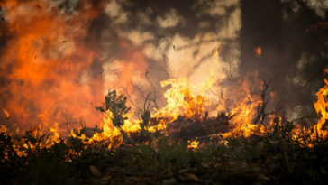 protegerte de los incendios