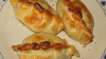 empanadas argentinas