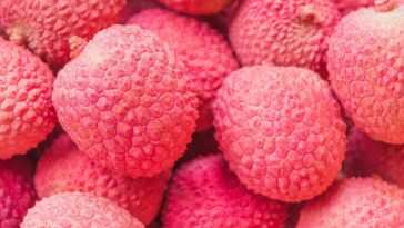 litchi