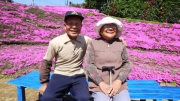 Marido pasa 2 años plantando flores para alegrar a su esposa ciega