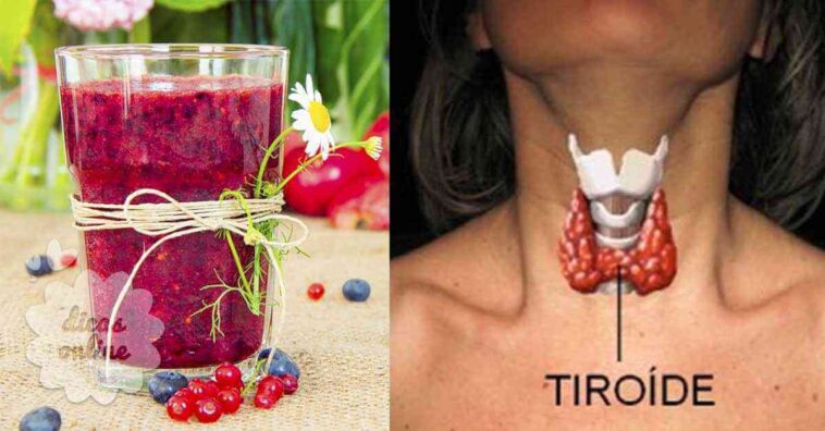 regular la tiroides y el metabolismo