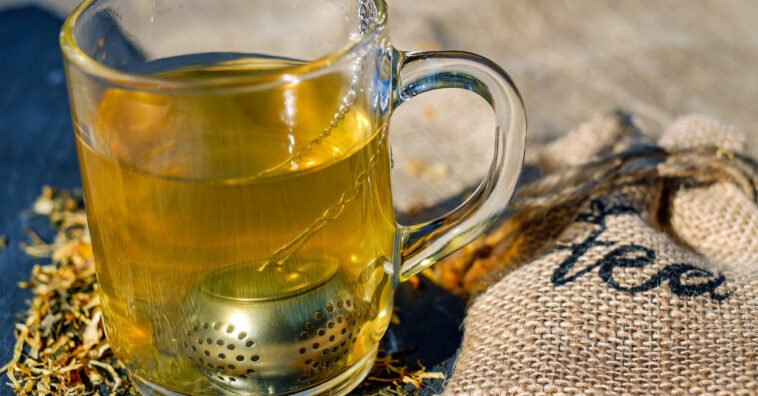 té verde podría ayudar a prevenir la demencia