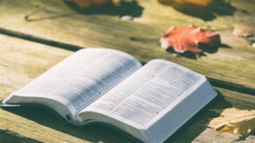 Versículos de la Biblia que muestran que Dios tiene el control de tu vida